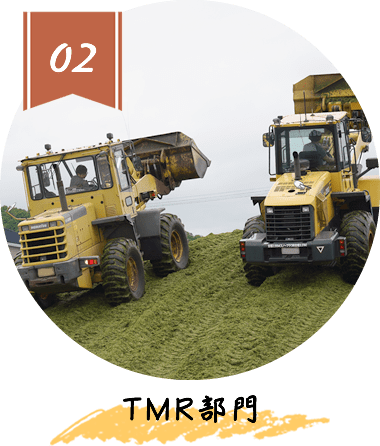 TMR部門