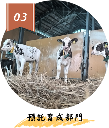 預託育成部門